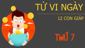 Tử vi thứ 7 ngày 31/12/2016 của 12 con giáp