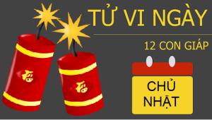 Tử vi Chủ Nhật ngày 01/01/2017 của 12 con giáp