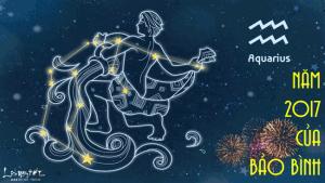 Tử vi năm 2017 của Bảo Bình