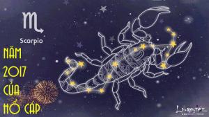 Tử vi năm 2017 của Hổ Cáp