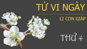 Tử vi thứ 4 ngày 04/01/2017 của 12 con giáp