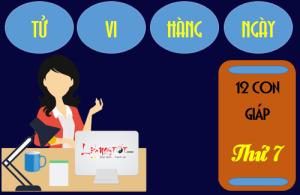 Tử vi thứ 7 ngày 7/1/2017 của 12 con giáp