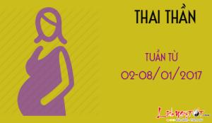 Xem ngày tốt xấu đón lành tránh dữ cho thai phụ: Tuần từ 02-08/01/2017