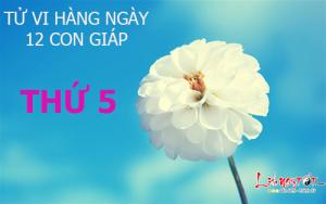 Tử vi thứ 5 ngày 22/12/2016 của 12 con giáp