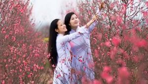 Dự báo tổng quan vận thế tháng 2 của 12 con giáp