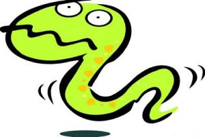 Xem tử vi trọn đời cho người sinh ngày Quý Tỵ