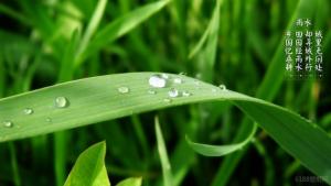 Infographic: 24 tiết khí đánh dấu thời gian trong năm