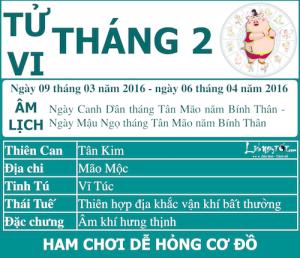 Xem tử vi tháng Hai âm lịch năm Bính Thân của người tuổi Hợi