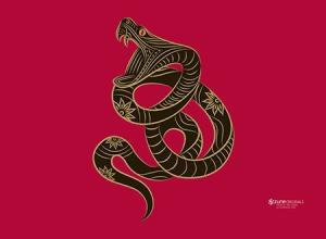 Tử vi năm 2016 của người tuổi Tỵ: Tân Tỵ, Quý Tỵ, Ất Tỵ, Đinh Tỵ, Kỷ Tỵ