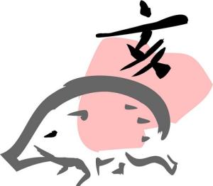 Tử vi sức khỏe năm 2016 của người tuổi Hợi: Đinh Hợi, Kỷ Hợi, Quý Hợi, Tân Hợi, Ất Hợi