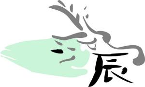 Tử vi sức khỏe năm 2016 của người tuổi Thìn: Nhâm Thìn, Canh Thìn, Mậu Thìn, Bính Thìn, Canh Thìn