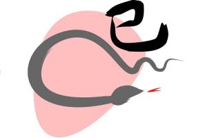 Tử vi sức khỏe năm 2016 của người tuổi Tỵ: Tân Tỵ, Quý Tỵ, Ất Tỵ, Đinh Tỵ, Kỷ Tỵ