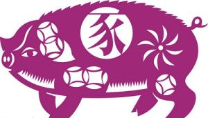 Tử vi tài lộc năm 2016 của người tuổi Hợi: Đinh Hợi, Kỷ Hợi, Quý Hợi, Tân Hợi, Ất Hợi