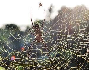 Cẩn trọng trước những điều xui xẻo khiến bạn điêu đứng