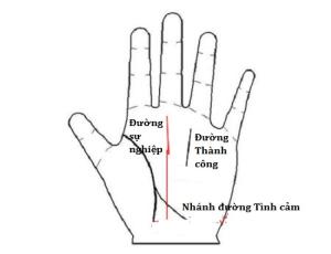 Đoán khả năng nhảy việc qua đường chỉ tay Sự nghiệp (P1)