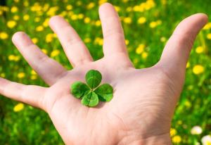 Top 3 con giáp chào đón điều may mắn trong 3 năm tới