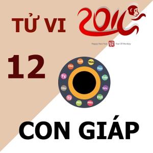 Infographic: Tử vi 12 con giáp năm 2016