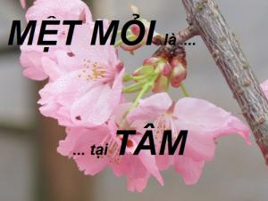 10 điều nên ghi nhớ để TÂM bớt MỆT MỎI