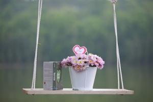 Xem tử vi trọn đời cho người sinh ngày Quý Mùi