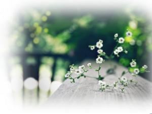 Tử vi thứ Ba của 12 cung hoàng đạo (22/03/2016)