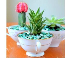 Nhận diện phong thủy tốt bằng chính bản thân mình