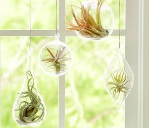 Tử vi thứ Năm của 12 cung hoàng đạo (31/03/2016)