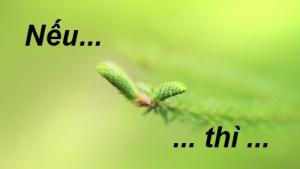 Cuộc sống này sẽ thực sự hạnh phúc hơn nếu bớt đi vài chữ "Nếu"...