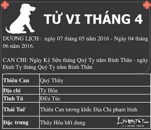 Xem tử vi tháng Tư âm lịch năm Bính Thân của người tuổi Tuất