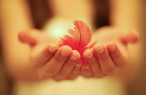 Lòng đố kị sinh đau khổ, tâm bình an hưởng lạc cả đời