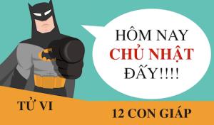 Tử vi Chủ Nhật ngày 17/4/2016 của 12 con giáp