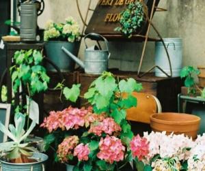 Tử vi Thứ 5 của 12 cung hoàng đạo (21/04/2016)