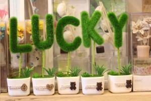 Những con giáp chào đón may mắn khi tháng 5 tới