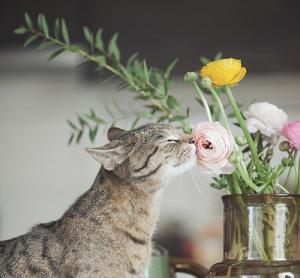 Tử vi thứ Bảy của 12 cung hoàng đạo (09/04/2016)