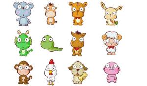 Những kiến thức cơ bản về địa chi trong tử vi (phần 1)