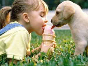 Nuôi thú cưng hợp mệnh, chủ nhà gặp nhiều may mắn