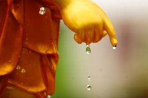 Ý nghĩa nghi thức tắm Phật hướng về tháng lễ Phật Đản sinh