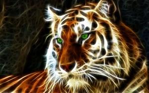 Xem tử vi trọn đời cho người sinh ngày Bính Dần