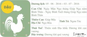 Xem tử vi tháng 5 âm lịch của người tuổi Dậu