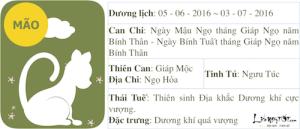 Xem tử vi tháng Năm âm lịch của người tuổi Mão