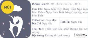 Xem tử vi tháng Năm âm lịch của người tuổi Mùi