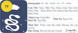 Xem tử vi tháng Năm âm lịch của người tuổi Tị