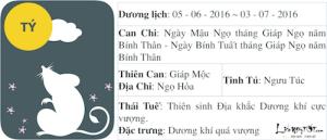 Xem tử vi tháng Năm âm lịch của người tuổi Tý