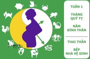 Xem ngày tốt xấu đón lành tránh dữ cho thai phụ: Tuần từ 30/5-5/6/2016