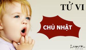 Tử vi Chủ Nhật ngày 8/5/2016 của 12 con giáp