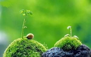 Điểm danh 4 chòm sao sĩ diện nhất vòng tròn hoàng đạo