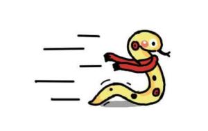 Người tuổi Tị nên kết giao hợp tác với tuổi nào?