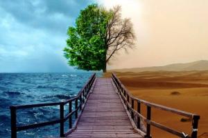 4 chòm sao không thể "nhìn mặt mà bắt hình dong"