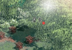 Hạ Chí khỏe như vâm nhờ khai vận phong thủy đúng cách