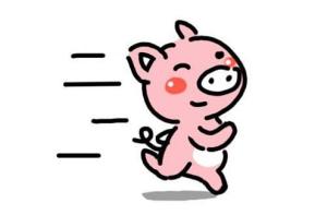 Người tuổi Hợi hợp làm ăn với tuổi nào để tiền bạc về đầy túi?