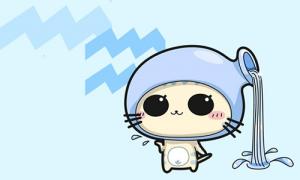 12 chòm sao và Euro 2016: Chòm sao Thủy Bình